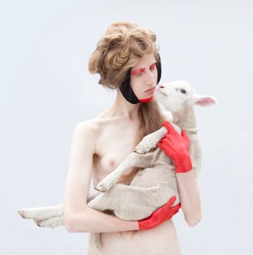 GAŁĘZIE DRZEW UGINAJĄ SIĘ POD CIĘŻAREM OWOCÓW_2_15X15 240dpi