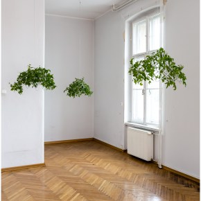 City – Inflammatory state –  two months after SURVIVAL Art&nbsp;Review