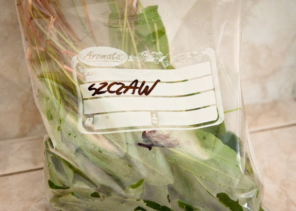 Copyright: Peter Kreibich